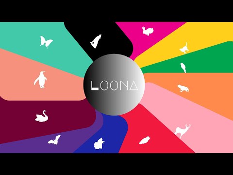 The Untold Story Behind The Miniloona Leaks