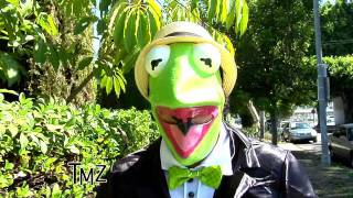 ADAM RAY: Kermit talks gay Bert and Ernie on TMZ