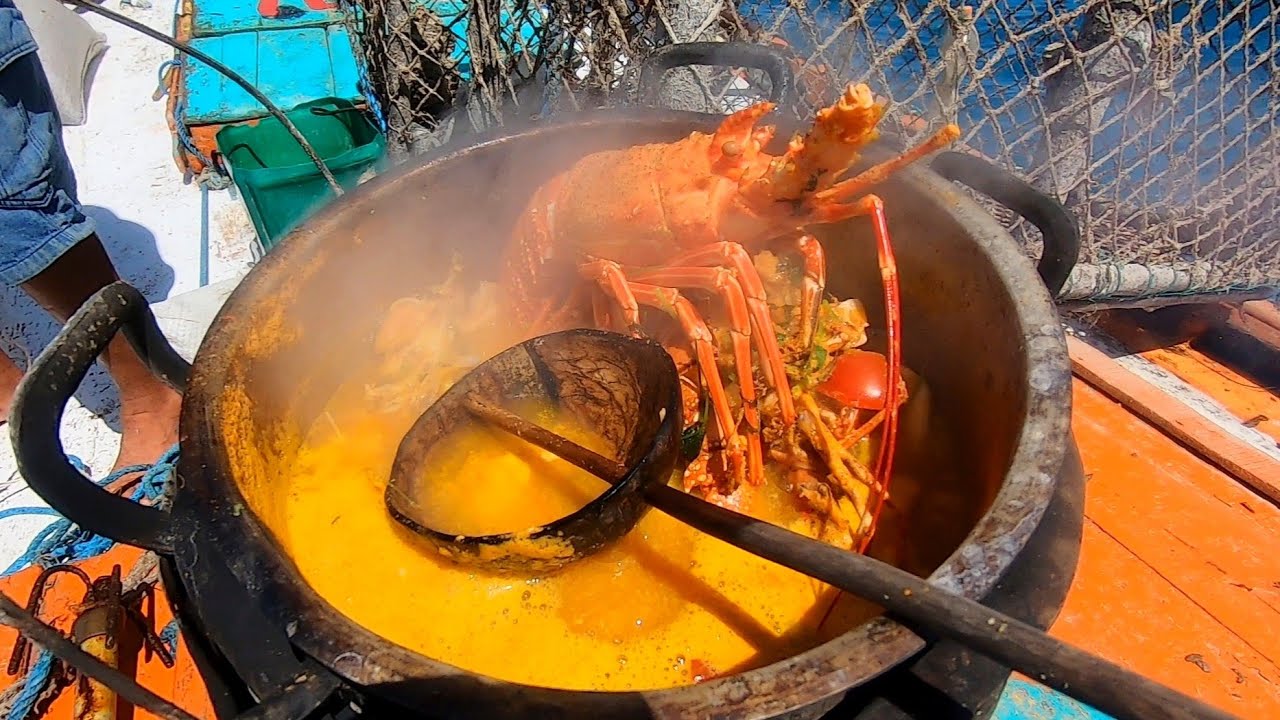 Os polvos são um dos frutos do mar favorito das lontras! 😱 📍Siga a p