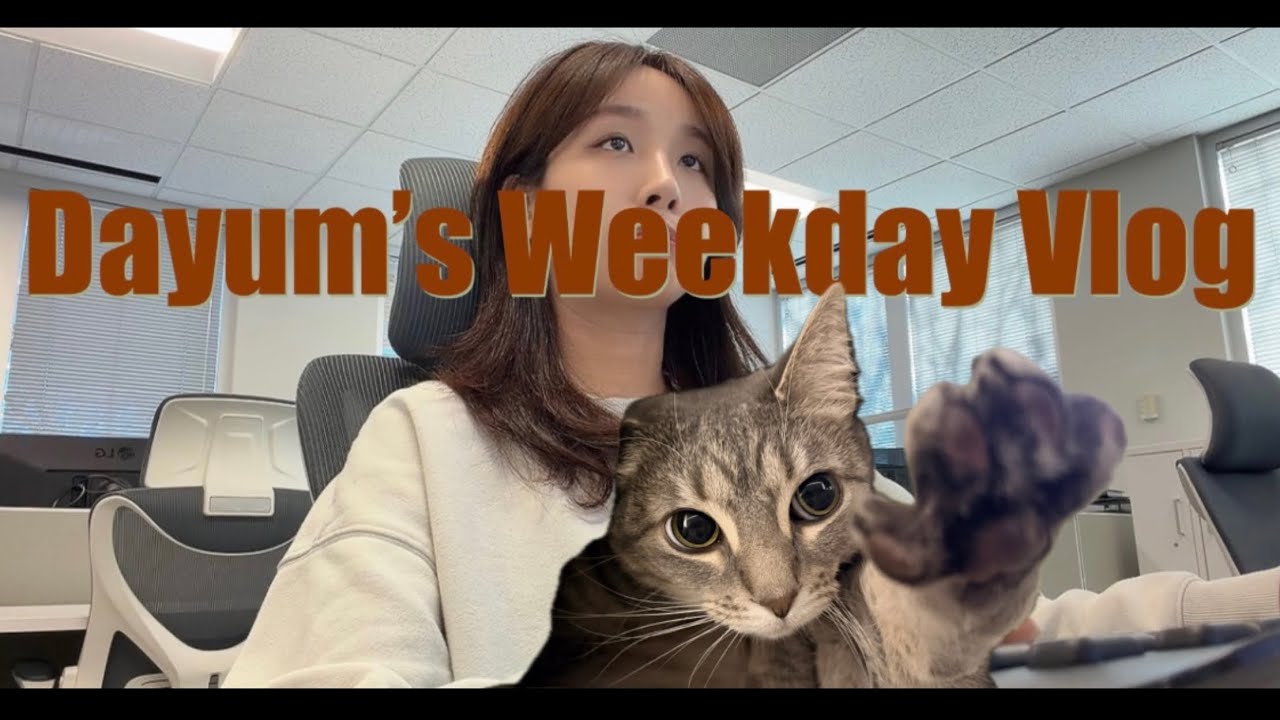 미국 직딩 대윰이의 일하고 밥먹고 고양이랑만 노는 일상 