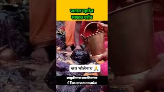 #song #bholenathbhajan #bholenathstatus #bashukinath #basukinath #basukinathmandir #basukinathdham