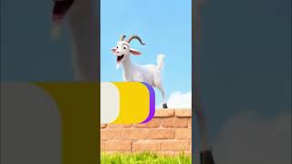 Ziege an der Mauer & Biene im Klee: Süße Tier-Animationen! #shorts