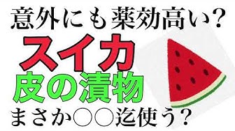 スイカの皮 Youtube スイカの皮 Youtube