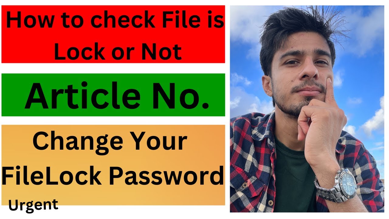 How to Check file lock in Portugal How to change sef password 