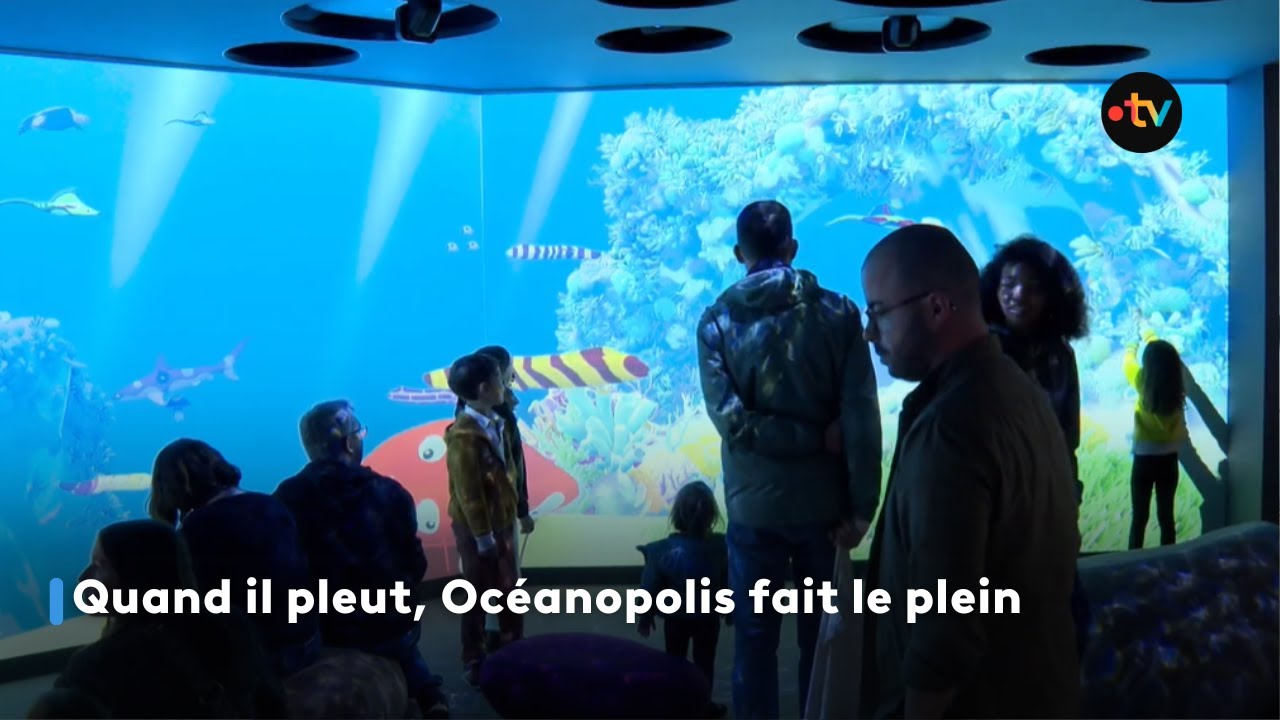Brest : quand il pleut, Océanopolis fait le plein