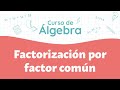 Quiz sobre Factorización por Factor Común