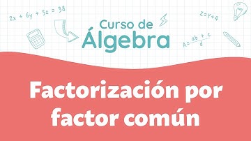 Factorización por factor común | Curso de Álgebra