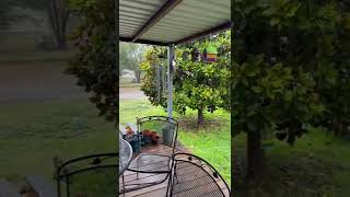Lubbock texas rain