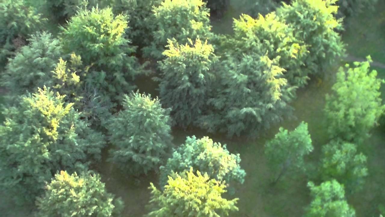 GAUI 420X-S - парк в Раменках