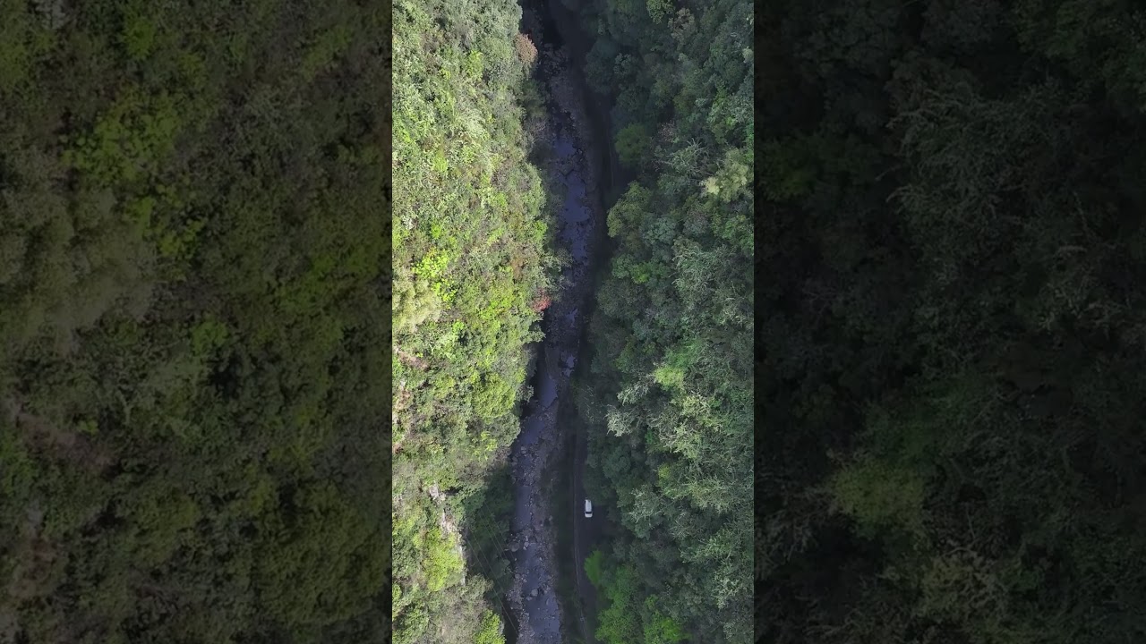 The Earth's Crack in Tongzi, Guizhou, features nearly vertical cliffs 