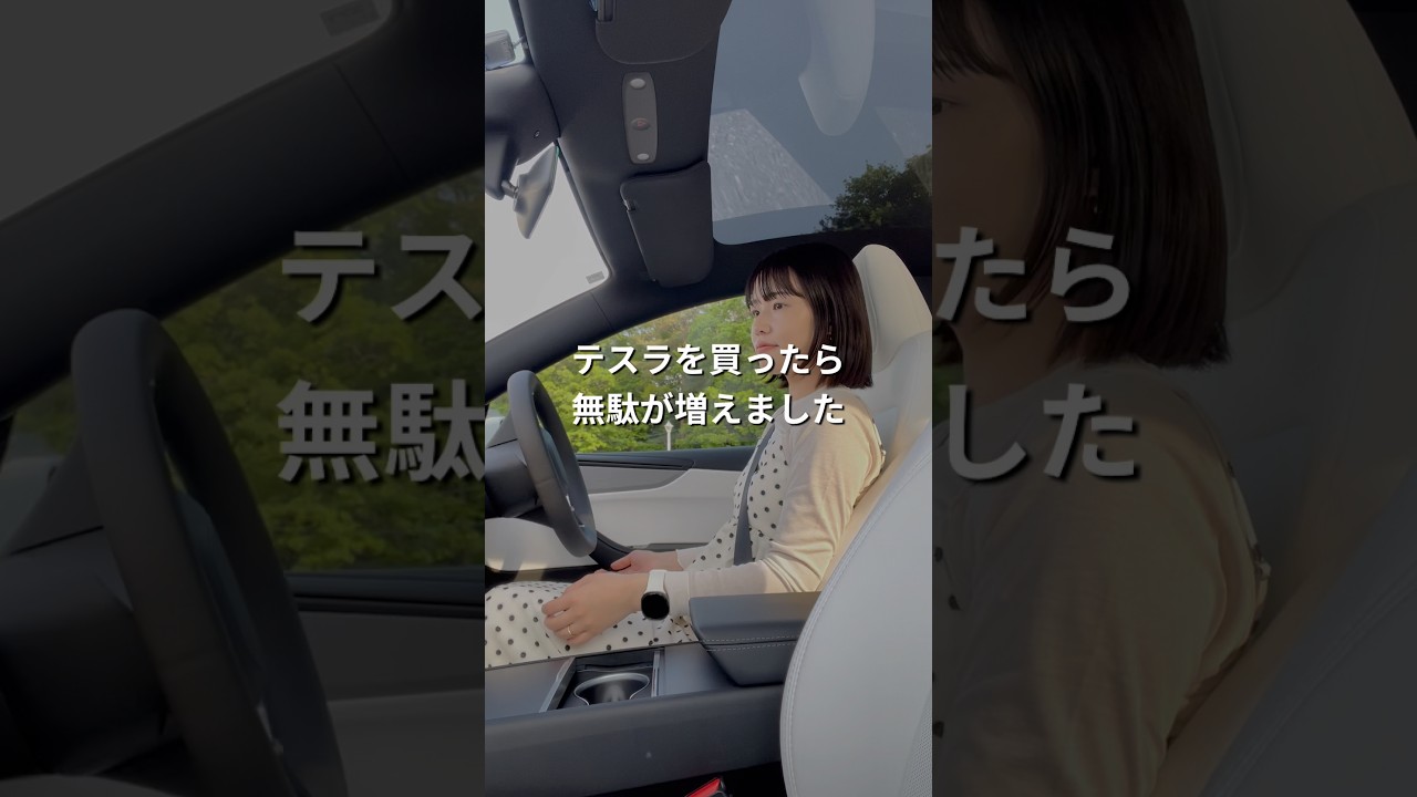 テスラ買ったら、無駄が増えました。 #テスラ #モデルY