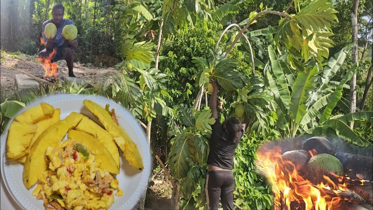 Bresheh roast & fry with ackee n saltfish | Real outdoor bush cooking 