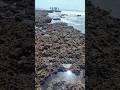 Anjuna beach | Goa | Beautiful rock formation #shorts #ytshorts #amitvlog #goa #anjunabeach