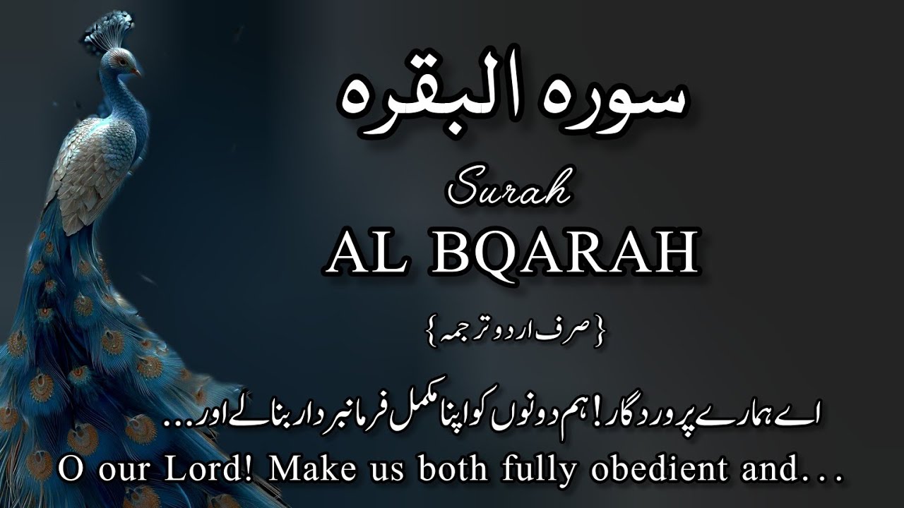 today's surah |Surah Baqarah |Ruku15 |سورہ البقرہ |Text |top 5 surah of quran 