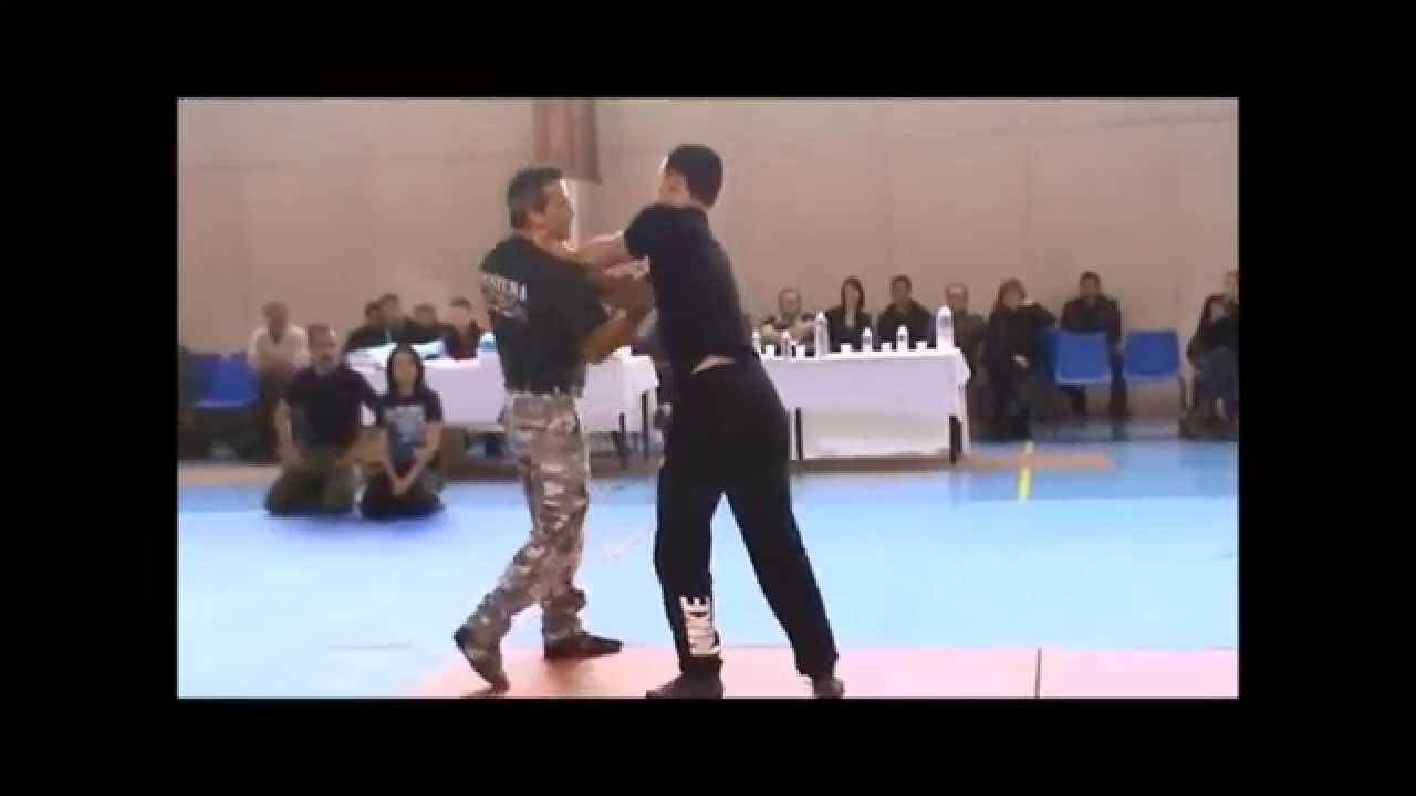 Systema RMA 34 Démo Gala Arts Martiaux 2014 Montpellier (extraits)