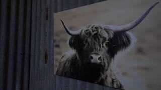 SOLD 47 Avondale Rd Cooranbong