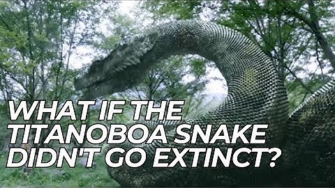 What If The Titanoboa Snake Didn