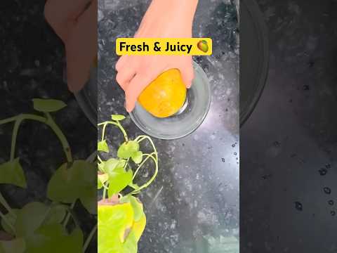 Mango Shak Recipe|Fresh Juicy Mango Recipe|Mango Juice Recipe|#shorts #easyrecipe#shakerecipe