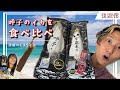 【生配信】呼子産の剣先イカと松イカの姿造り食べ比べ