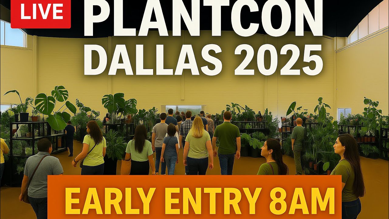 🌿 PlantCon Dallas 2025: обзор для раннего входа (8 утра)