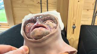 Next update on the animatronic tests..