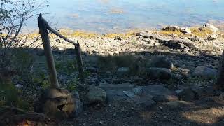 Video of Cobscook Bay State Park, ME from Shari  G.