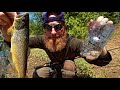 BACON WRAPPED Brown Trout (Home Made Bait Bottle Trap)! | Catch, Clean, Cook