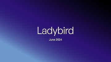 Ladybird browser update (June 2024)