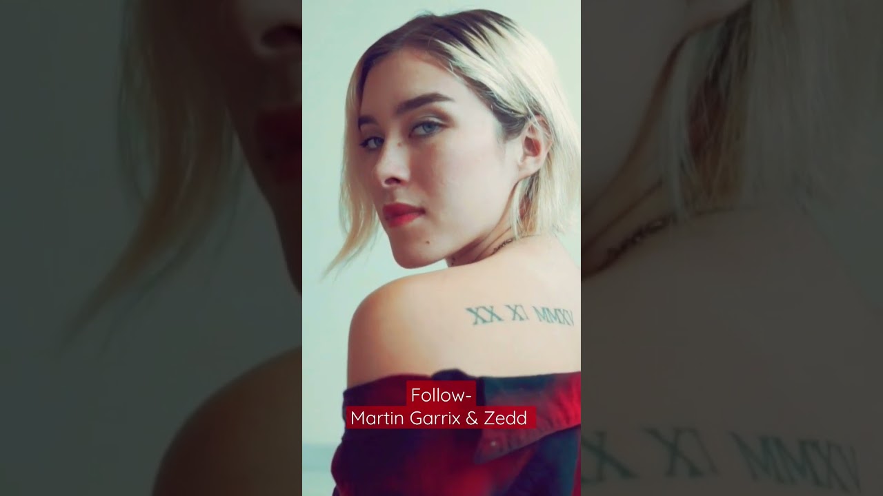 Follow - Martin Garrix & Zedd