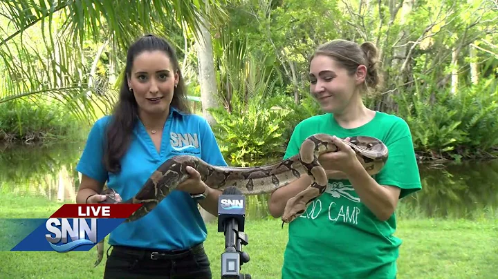 SNN: Annette Gutierrez at Jungle Gardens