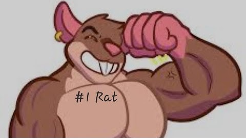 COD: MW3 49-12 RAT PLAY (16K SHIELD ELIMS) P.S.A. FEELINGS WERE HURT