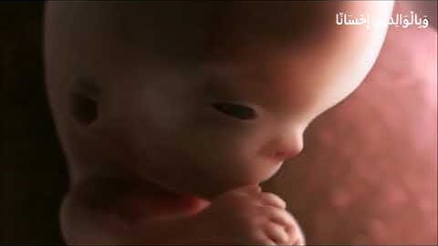 سورة الإنسان - عمر هشام العربي - Surah Al-Insan - OMAR HISHAM ALARABI - VERY Emotional -