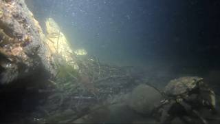 Nighttime Underwater Time-Lapse 9/7/26 Long Island, NY