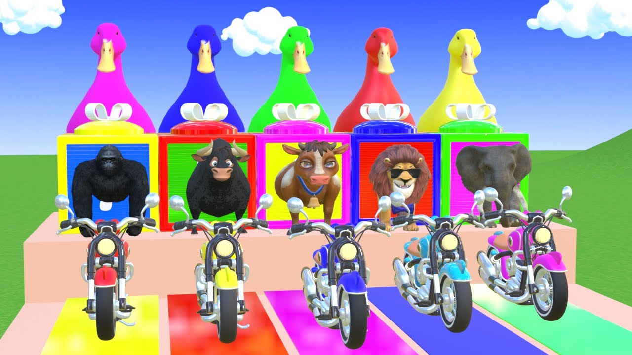 Long Slide Game With Cow Elephant Gorilla Hippopotamus Tiger 3d Animal Game Funny 3d Animals