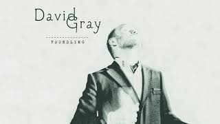 Watch David Gray A Moment Changes Everything video