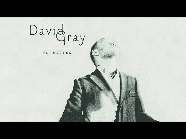 David Gray - A Moment Changed Everything