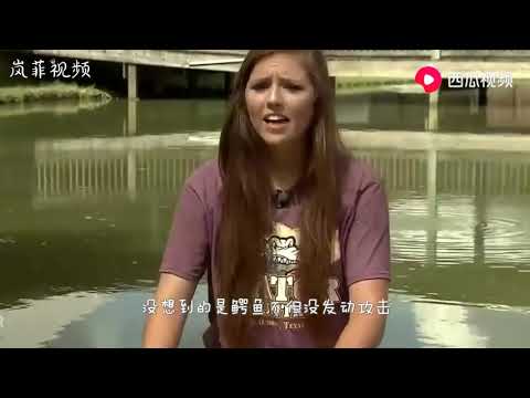 女孩给鳄鱼喂食，接下来的画风让人意外，镜头拍下全过程