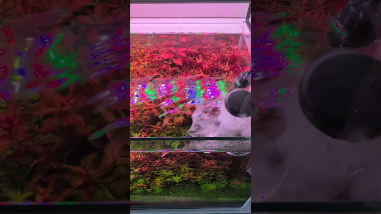 🐟UNS Mist Maker From 