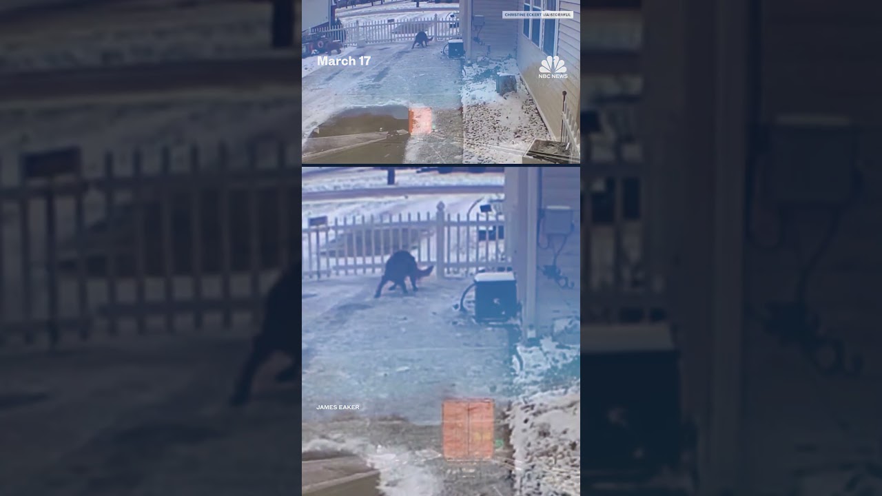 Seven ton meteor streaks across eastern U.S. skies