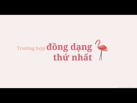 Video Trường hợp đồng dạng thứ nhất - Toán lớp 8 [ONLINE... - youtube