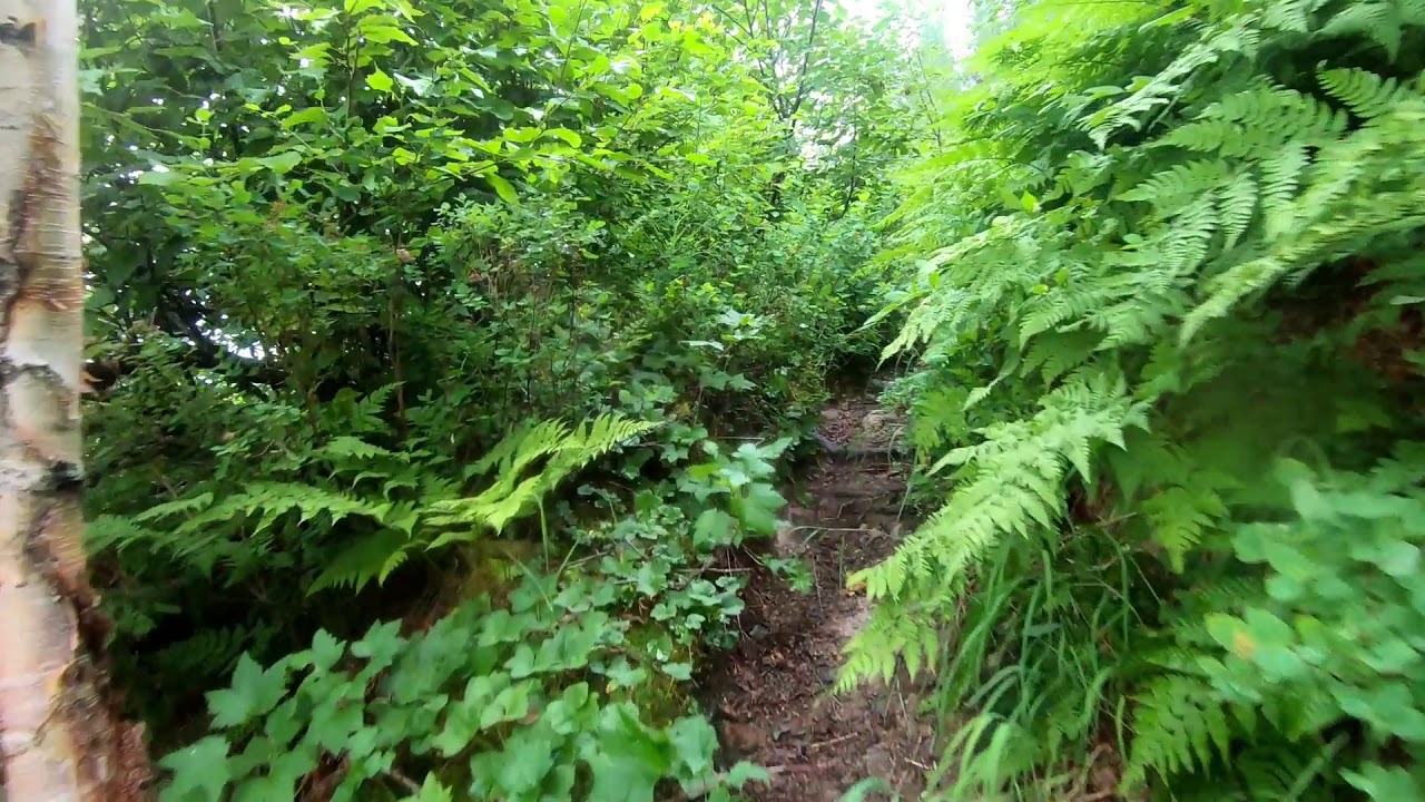 Byers Lake Trail YouTube