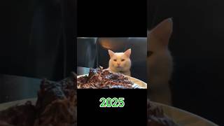 Famous Cats Memes then Vs Now shorts memes cat nostalgia