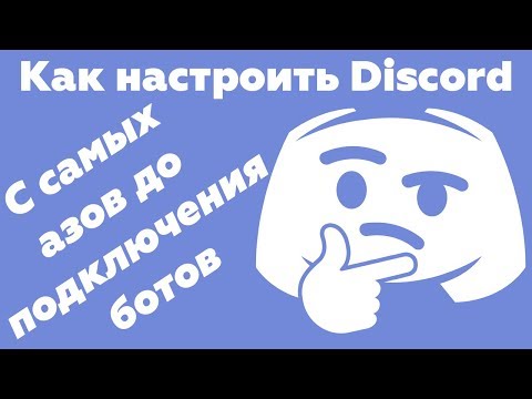 Как настроить Discord - Возможности ботов в дискорде на примере MEE6