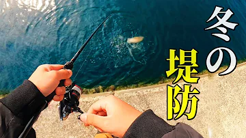 寒い冬の堤防になにかいた 寒い冬の堤防になにかいた