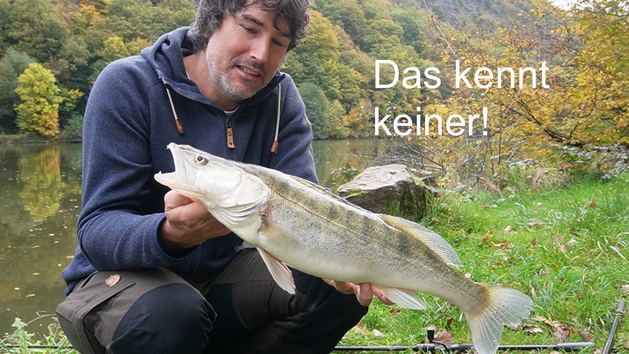 Jeder, der ZANDER isst, sollte das KENNEN!