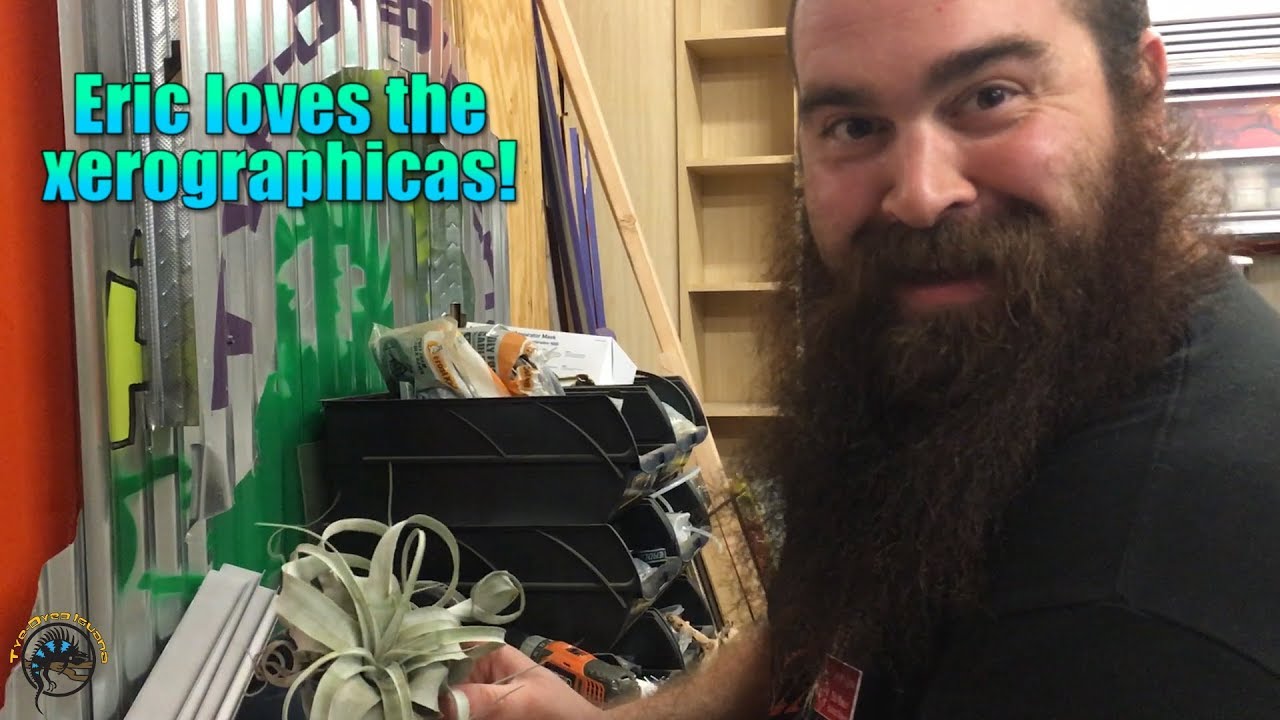 petco hours 😁 Eric's Antics Breaking Open Our Newest Plant Delivery!