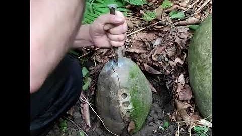Ammonite (Fossil) Hunting in Russia (North Caucasus)
