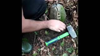 Ammonite (Fossil) Hunting in Russia (North Caucasus)