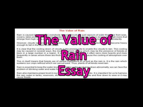 Free Rain Man Essays and Papers | Help Me rain man essay