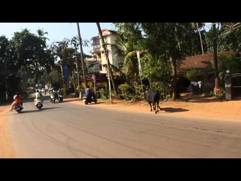 Video: Pohjois-Goan Parhaat Rannat: Yleiskatsaus